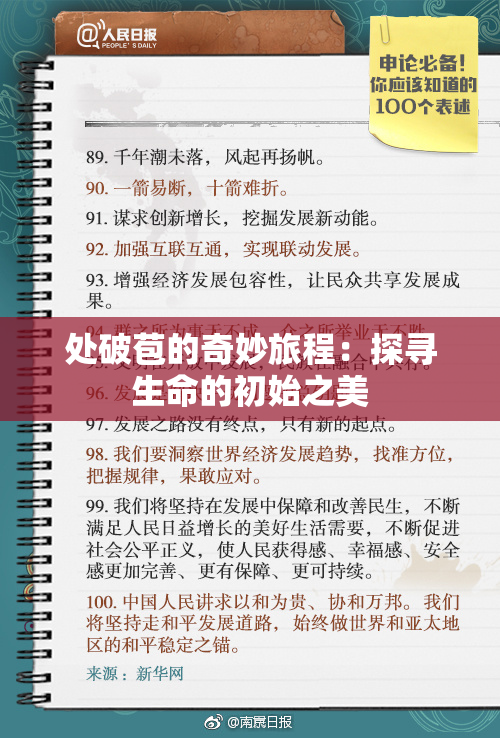 处破苞的奇妙旅程：探寻生命的初始之美