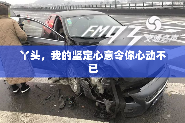 丫头，我的坚定心意令你心动不已
