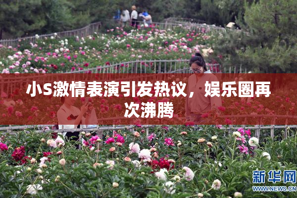 小S激情表演引发热议，娱乐圈再次沸腾
