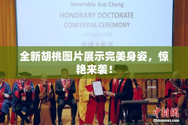 全新胡桃图片展示完美身姿，惊艳来袭！