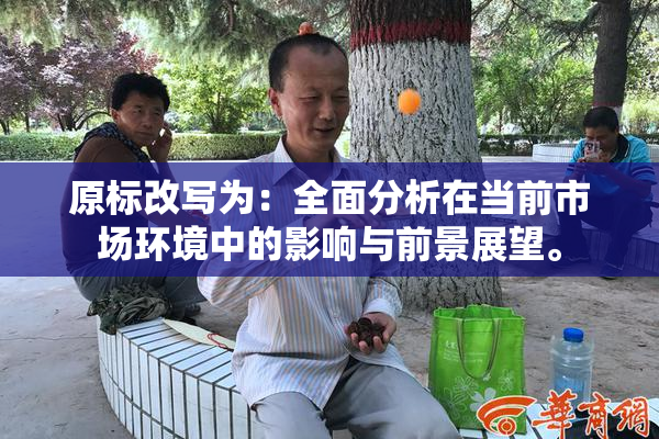 原标改写为：全面分析在当前市场环境中的影响与前景展望。