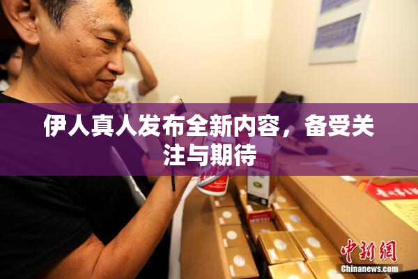 伊人真人发布全新内容，备受关注与期待