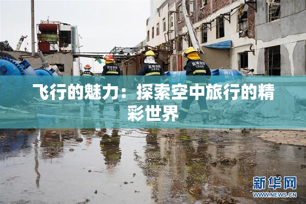 飞行的魅力：探索空中旅行的精彩世界