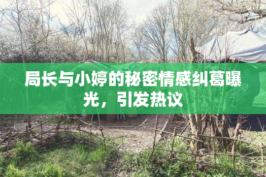 局长与小婷的秘密情感纠葛曝光，引发热议