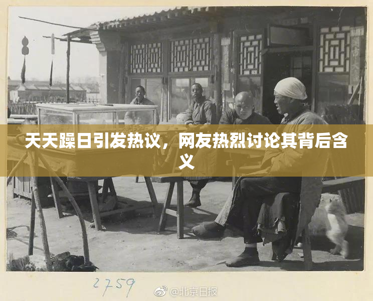 天天躁日引发热议，网友热烈讨论其背后含义