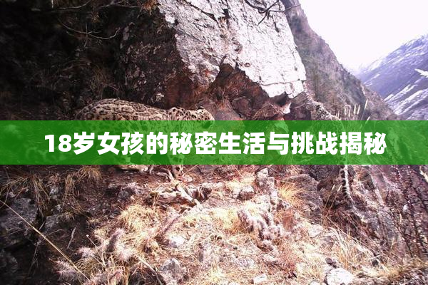 18岁女孩的秘密生活与挑战揭秘