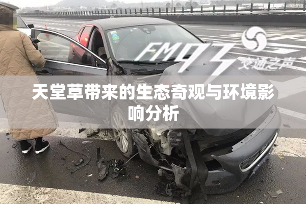 天堂草带来的生态奇观与环境影响分析