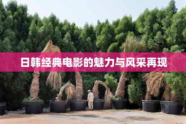 日韩经典电影的魅力与风采再现