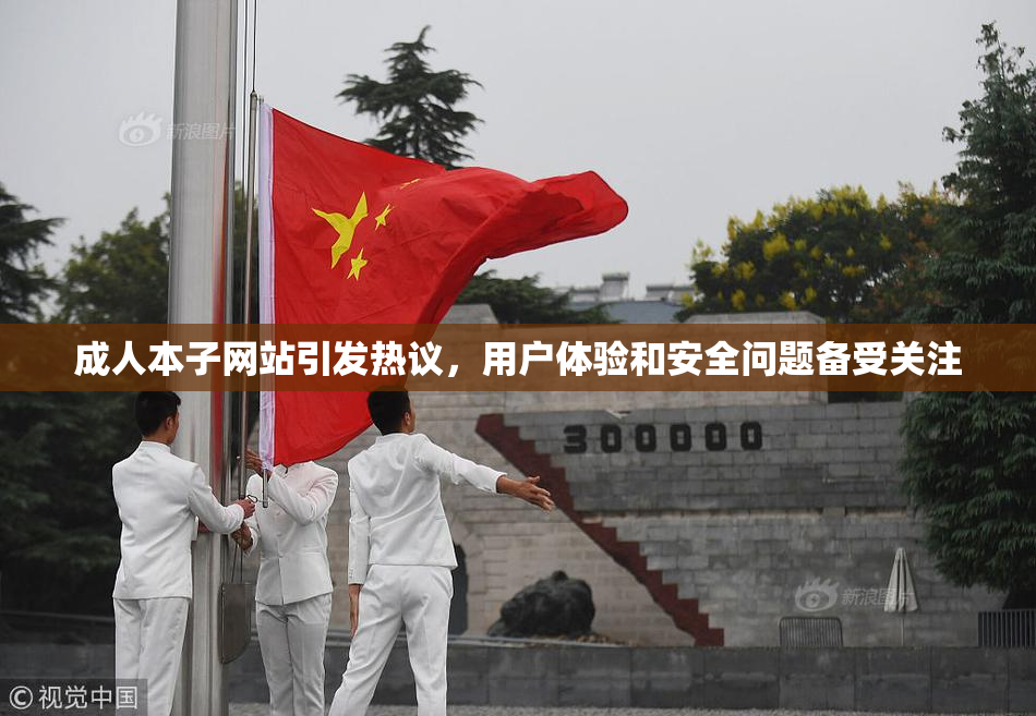 成人本子网站引发热议，用户体验和安全问题备受关注