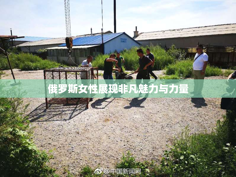 俄罗斯女性展现非凡魅力与力量