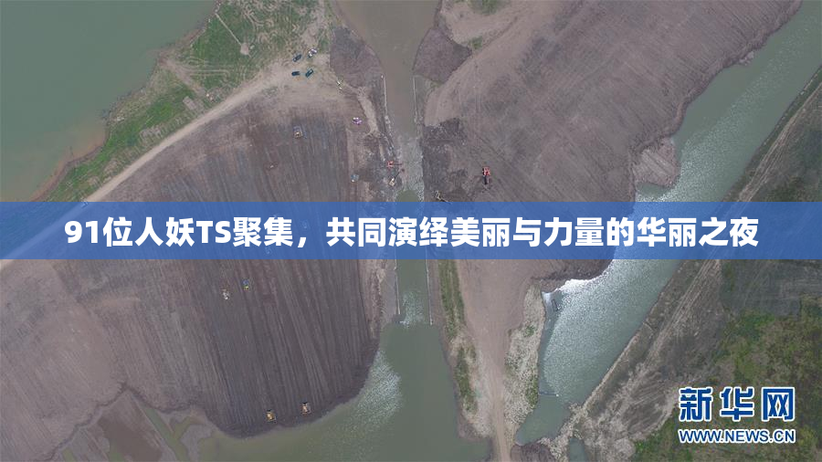 91位人妖TS聚集，共同演绎美丽与力量的华丽之夜