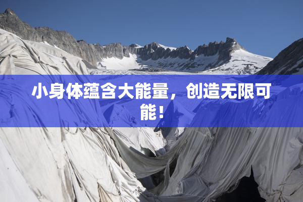 小身体蕴含大能量，创造无限可能！