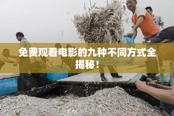 免费观看电影的九种不同方式全揭秘！