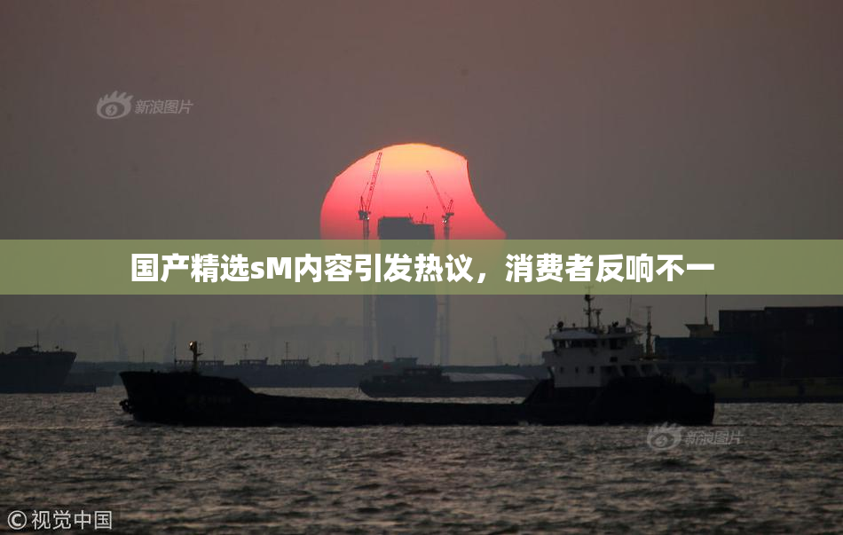国产精选sM内容引发热议，消费者反响不一