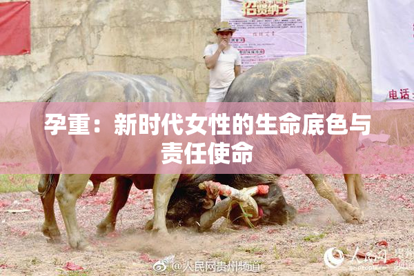 孕重：新时代女性的生命底色与责任使命