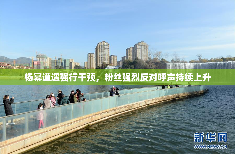 杨幂遭遇强行干预，粉丝强烈反对呼声持续上升