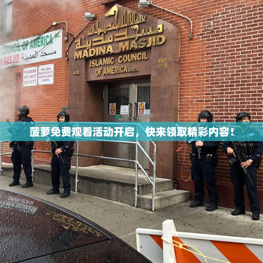 菠萝免费观看活动开启，快来领取精彩内容！