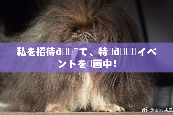 私を招待🔯て、特別🍑イベントを計画中！