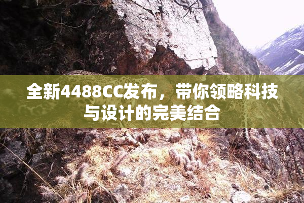 全新4488CC发布，带你领略科技与设计的完美结合