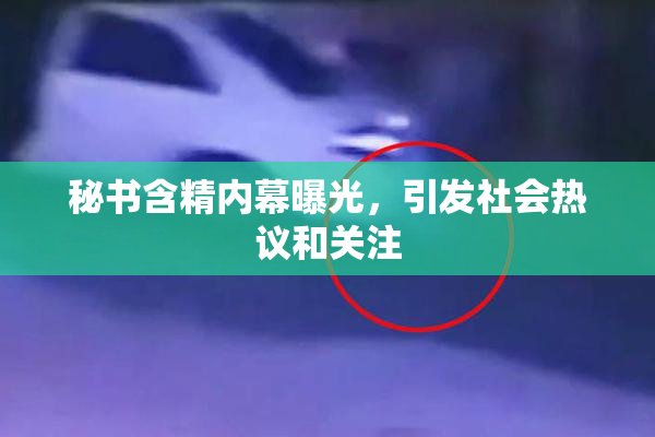 秘书含精内幕曝光，引发社会热议和关注