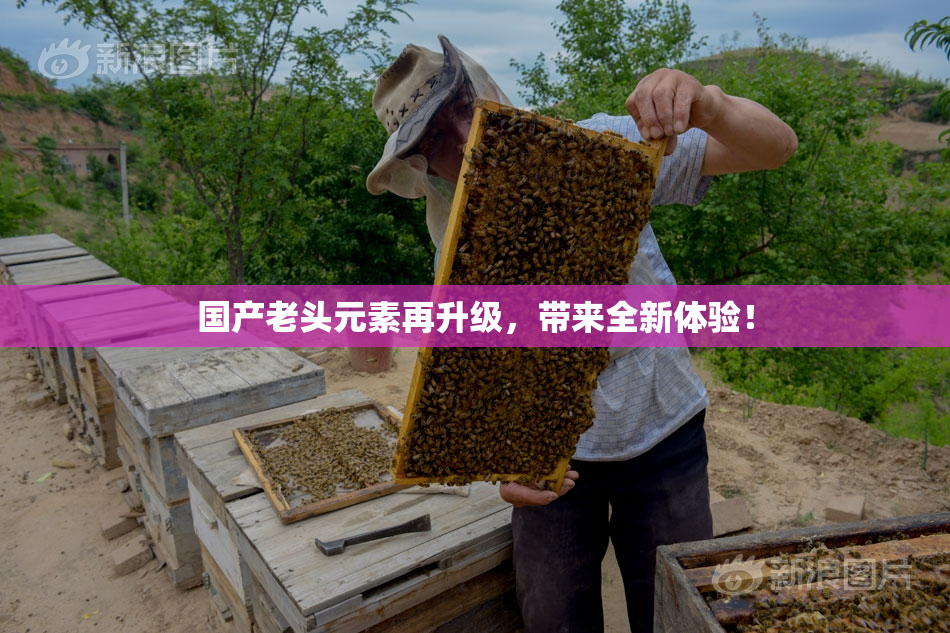 国产老头元素再升级，带来全新体验！
