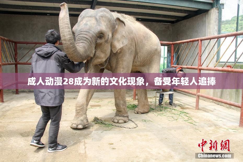 成人动漫28成为新的文化现象，备受年轻人追捧
