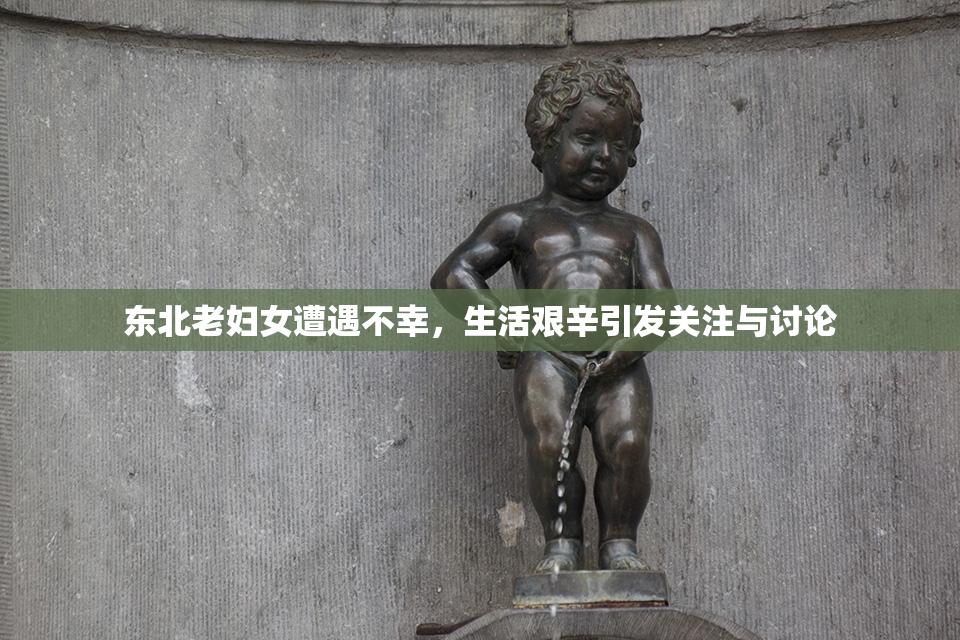 东北老妇女遭遇不幸，生活艰辛引发关注与讨论