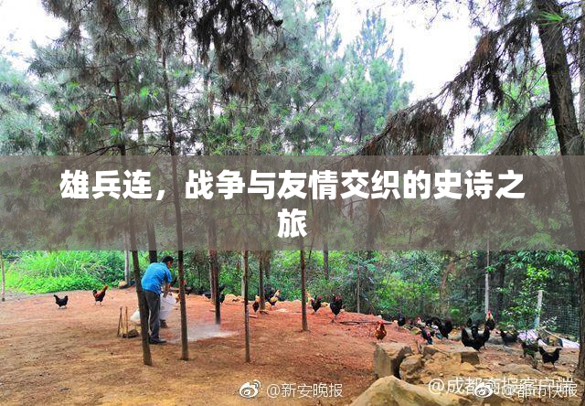 雄兵连，战争与友情交织的史诗之旅