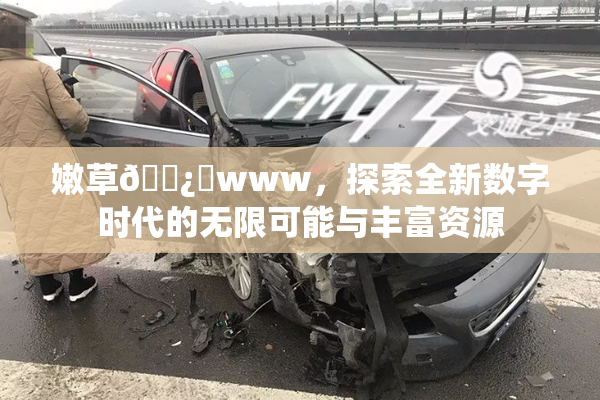 嫩草🌿‌www，探索全新数字时代的无限可能与丰富资源