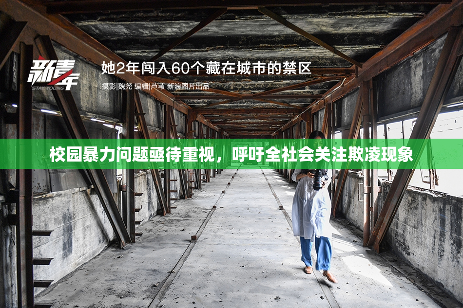 校园暴力问题亟待重视，呼吁全社会关注欺凌现象