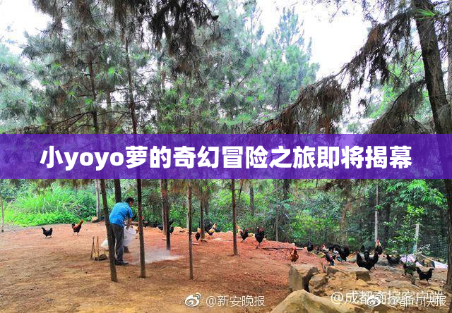 小yoyo萝的奇幻冒险之旅即将揭幕