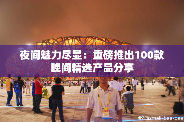 夜间魅力尽显：重磅推出100款晚间精选产品分享