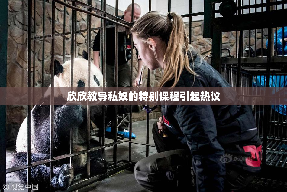 欣欣教导私奴的特别课程引起热议