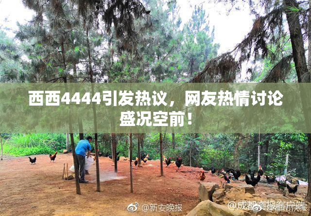 西西4444引发热议，网友热情讨论盛况空前！