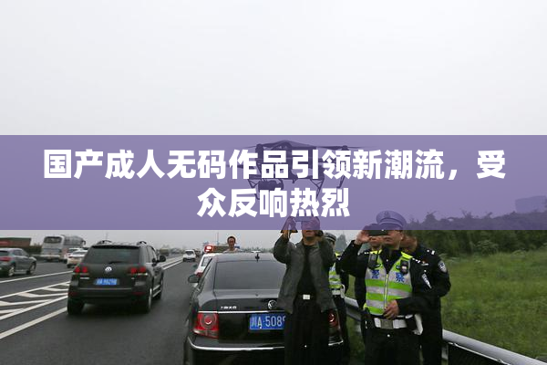 国产成人无码作品引领新潮流，受众反响热烈