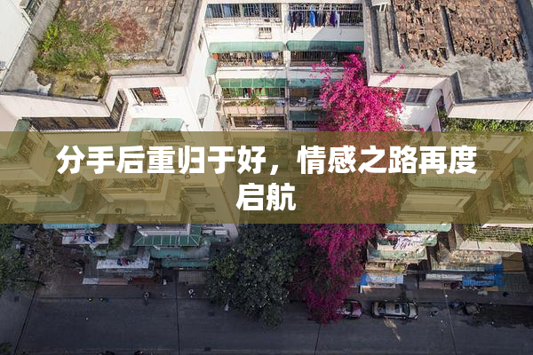 分手后重归于好，情感之路再度启航