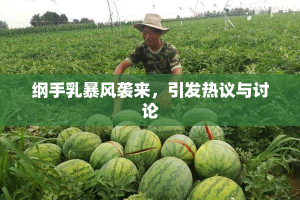 纲手乳暴风袭来，引发热议与讨论