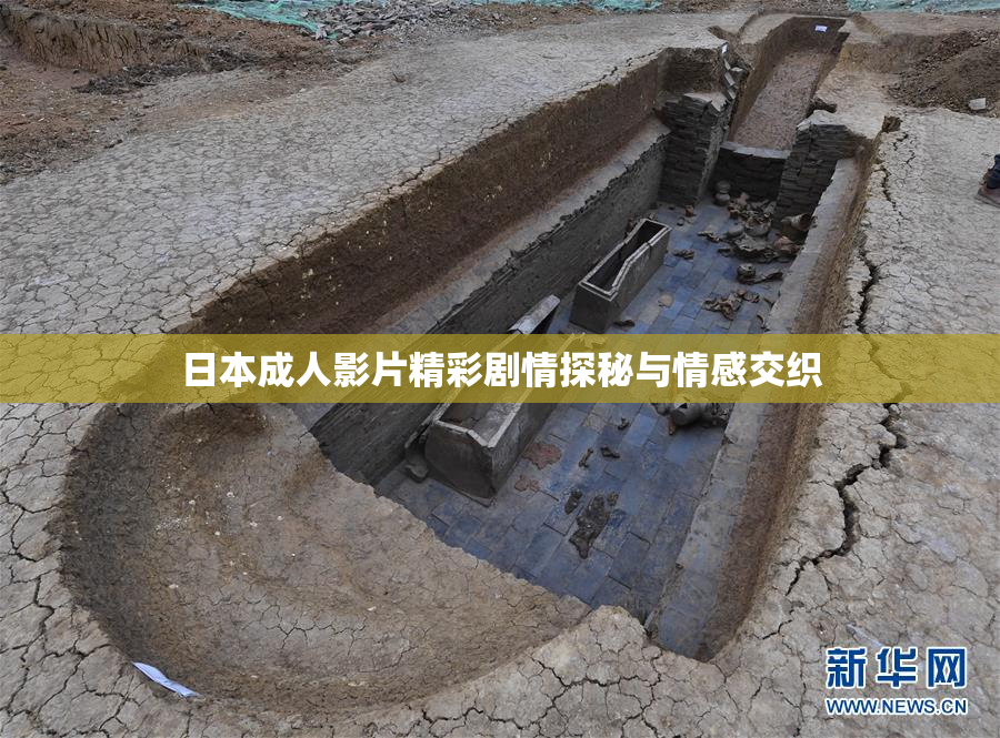 日本成人影片精彩剧情探秘与情感交织