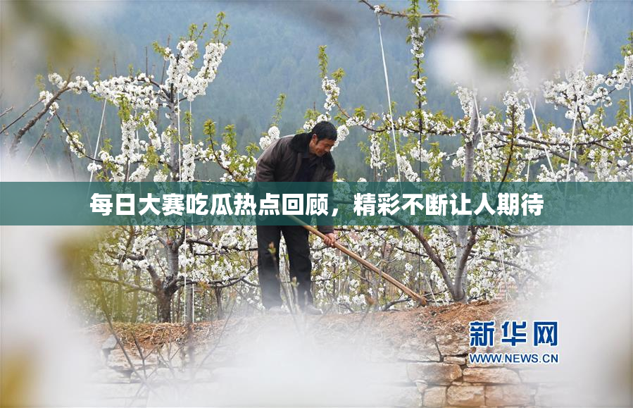 每日大赛吃瓜热点回顾，精彩不断让人期待
