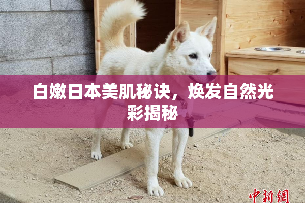白嫩日本美肌秘诀，焕发自然光彩揭秘