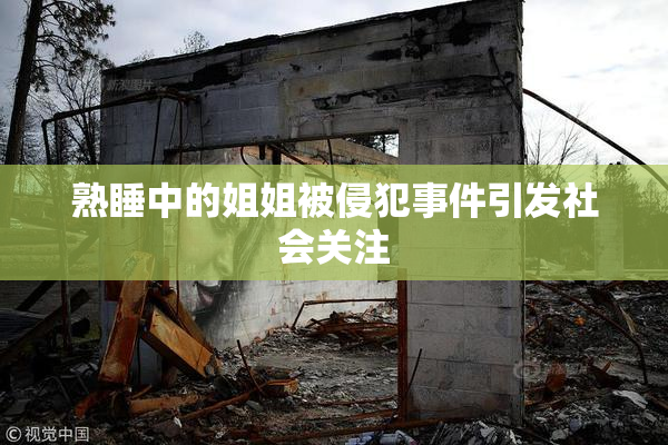 熟睡中的姐姐被侵犯事件引发社会关注