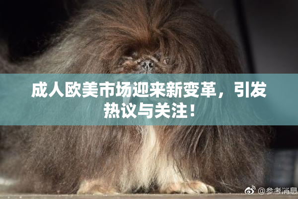 成人欧美市场迎来新变革，引发热议与关注！