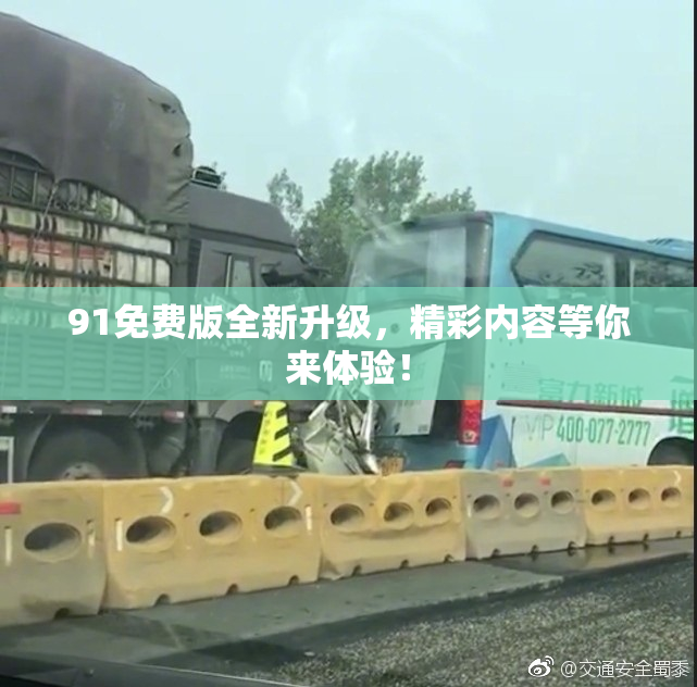 91免费版全新升级，精彩内容等你来体验！