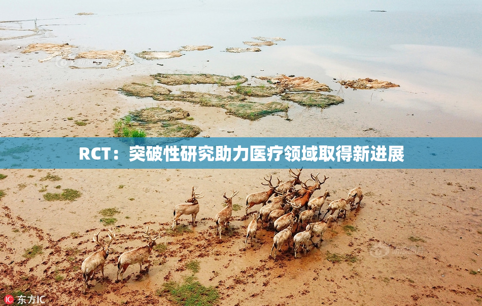 RCT：突破性研究助力医疗领域取得新进展
