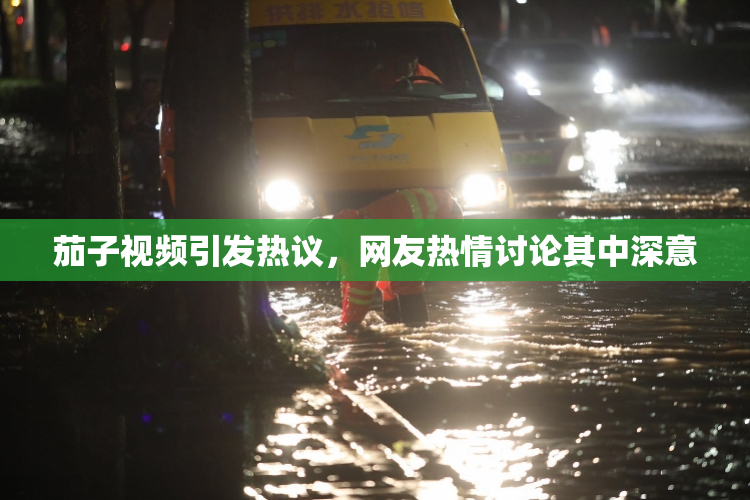 茄子视频引发热议，网友热情讨论其中深意
