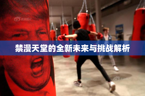 禁漫天堂的全新未来与挑战解析