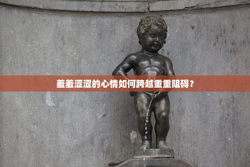 羞羞涩涩的心情如何跨越重重阻碍？