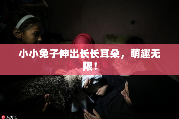小小兔子伸出长长耳朵，萌趣无限！