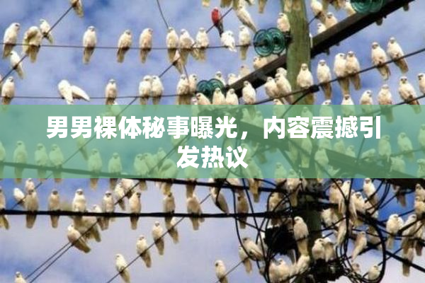 男男裸体秘事曝光，内容震撼引发热议