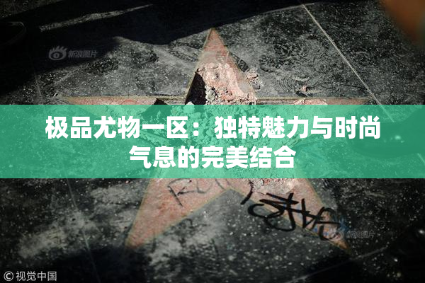 极品尤物一区：独特魅力与时尚气息的完美结合